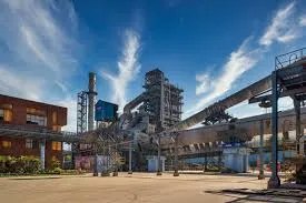 Dalmia Cement (North-East) Limited audit project